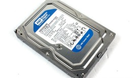 我的数字仓库管家：与西部数据硬盘相伴的安心创作时光